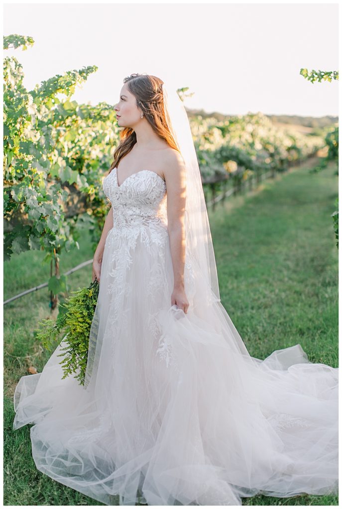 bride looking away from camera in vineyard tuscany in texas