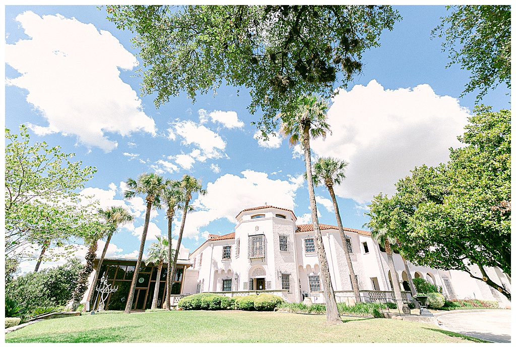 McNay Museum greenety