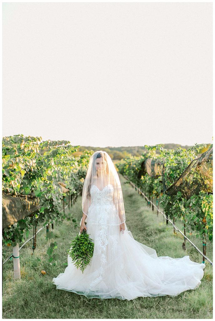 classic bridal pose in texas wine country