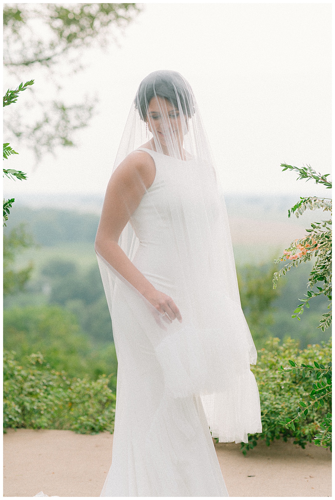 bridal portrait with blusher veil
