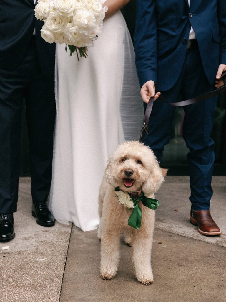 The wedding couple's dog wears a floral collar next to the bride and groom at the South Congress Hotel wedding.